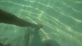 Yuliya Zivert feet photo 6