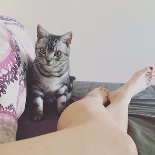 Yumi Sugimoto feet photo thumbnail