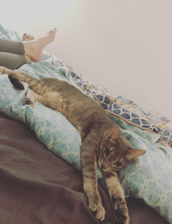 Yumi Sugimoto feet photo thumbnail