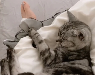 Yumi Sugimoto feet photo thumbnail