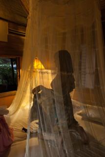 Yumi Sugimoto feet photo thumbnail