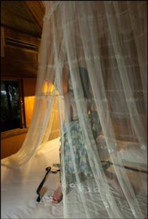 Yumi Sugimoto feet photo thumbnail