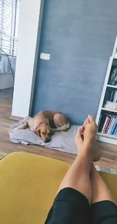 Yuval Gonen feet photo 7