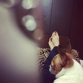 Yuvika Chaudhry feet photo 19