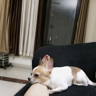 Yuvika Chaudhry feet photo 18