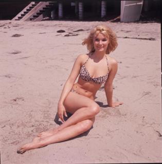 Yvette Mimieux feet photo thumbnail