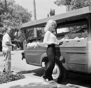 Yvette Mimieux feet photo thumbnail