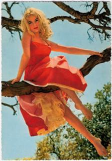 Yvette Mimieux feet photo thumbnail