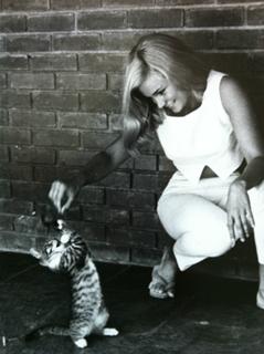 Yvette Mimieux feet photo thumbnail