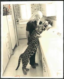 Yvette Mimieux feet photo thumbnail