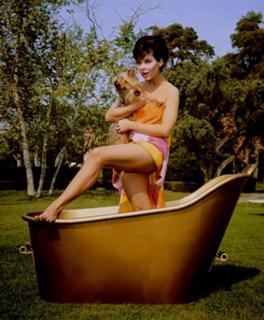 Yvonne Craig feet photo thumbnail
