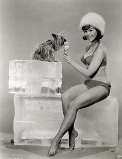 Yvonne Craig feet photo thumbnail