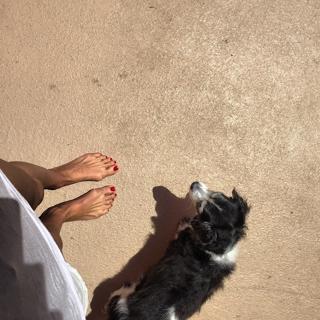 Yvonne Strahovski feet photo thumbnail