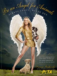 Yvonne Strahovski feet photo thumbnail