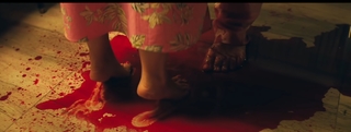 Zaz feet photo 13