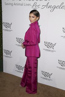 Zendaya feet photo thumbnail