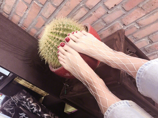 Zhang Lanxin feet photo 15