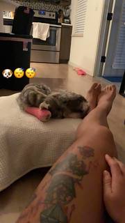 Zhao Xia feet photo 20