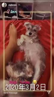 Zhao Xia feet photo 17