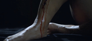 Zhao Xia feet photo 6