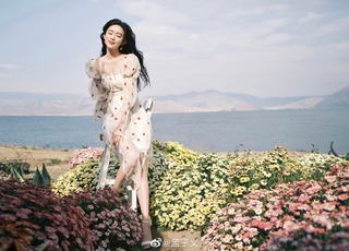 Ziyi Meng feet photo 14