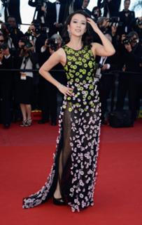 Ziyi Zhang feet photo thumbnail