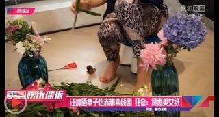 Ziyi Zhang feet photo thumbnail