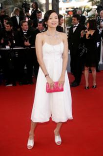 Ziyi Zhang feet photo thumbnail