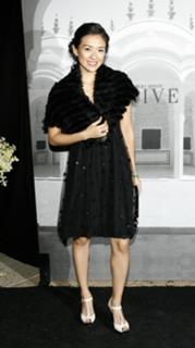Ziyi Zhang feet photo thumbnail