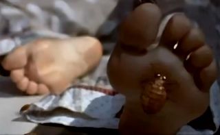 Ziyi Zhang feet photo 1