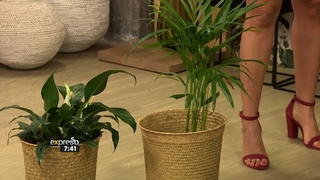 Zoe Brown feet photo 17