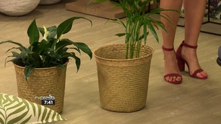 Zoe Brown feet photo 16
