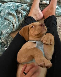 Zoe Myers feet photo 1