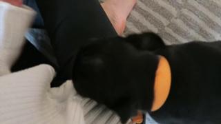 Zoe Sugg feet photo thumbnail