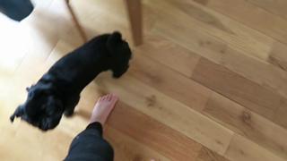 Zoe Sugg feet photo thumbnail