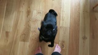 Zoe Sugg feet photo thumbnail