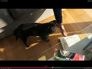 Zoe Sugg feet photo thumbnail