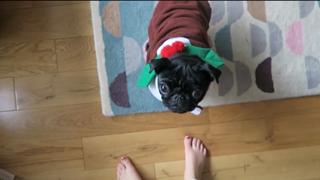 Zoe Sugg feet photo thumbnail