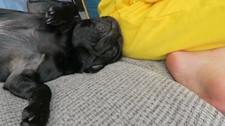 Zoe Sugg feet photo thumbnail