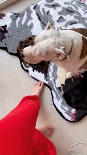 Zoey Deutch feet photo thumbnail
