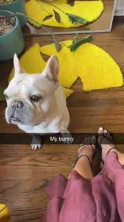 Zolee Griggs feet photo 4