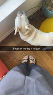 Zolee Griggs feet photo 12