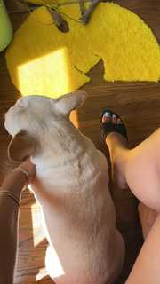 Zolee Griggs feet photo 10