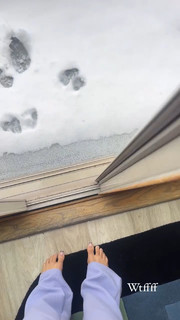 Zolee Griggs feet photo 15