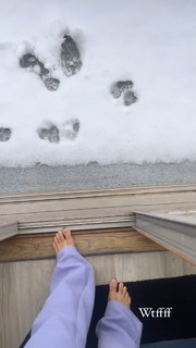 Zolee Griggs feet photo 14