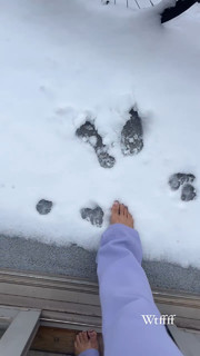 Zolee Griggs feet photo 13