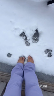 Zolee Griggs feet photo 12