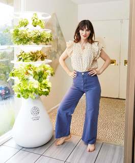 Zooey Deschanel feet photo thumbnail
