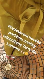 Zora Hejdová feet photo 10