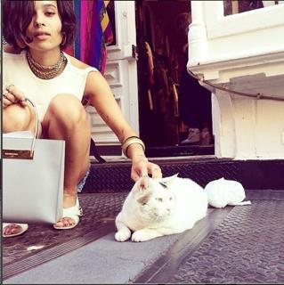 Zoë Kravitz feet photo thumbnail